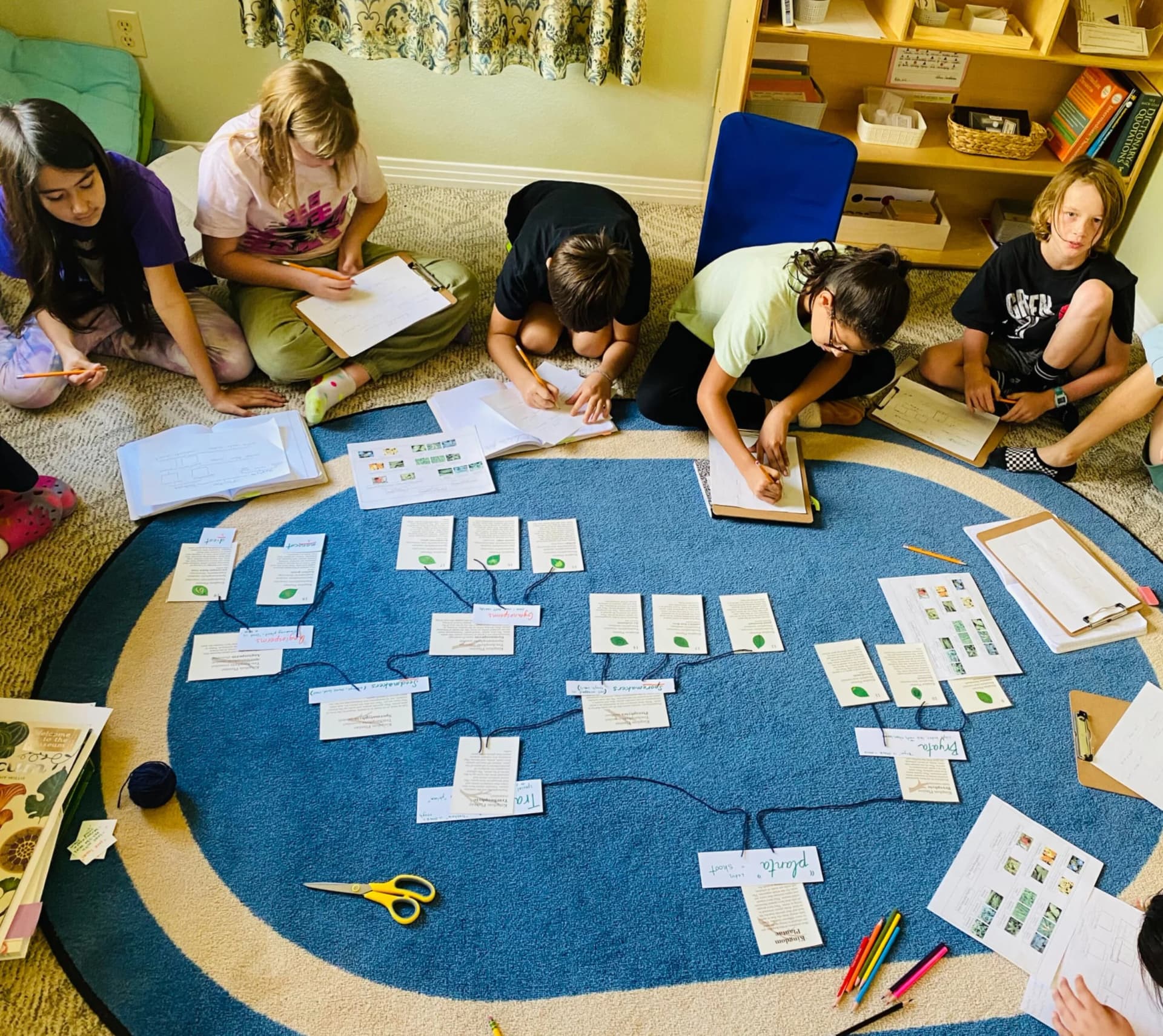 Student working with hands-on materials